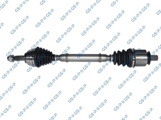 250574 GSP