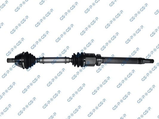 218190 GSP