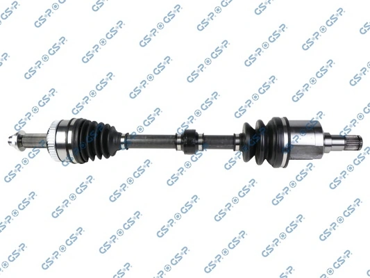 224523 GSP
