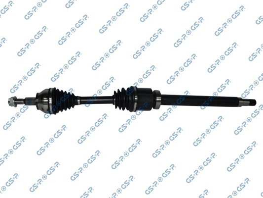 218381 GSP