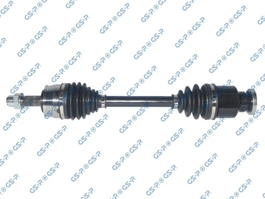 217158 GSP