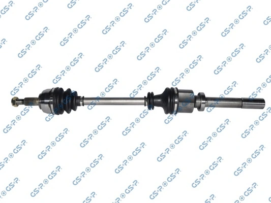 250386 GSP