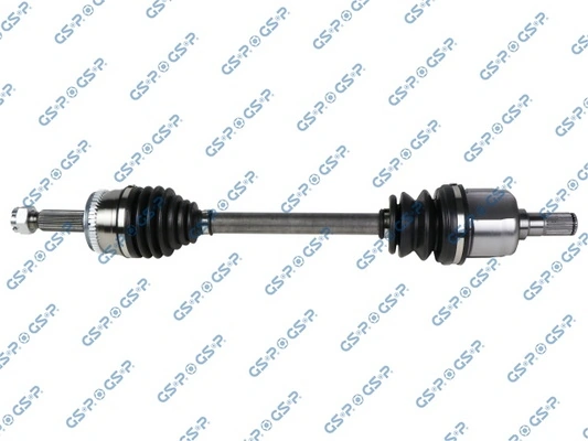 224531 GSP