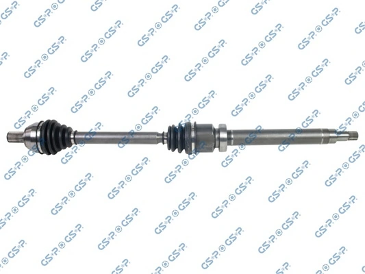203555 GSP