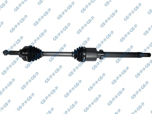 218443 GSP