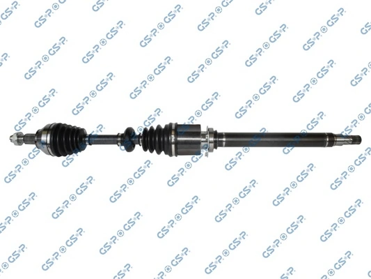 217124 GSP