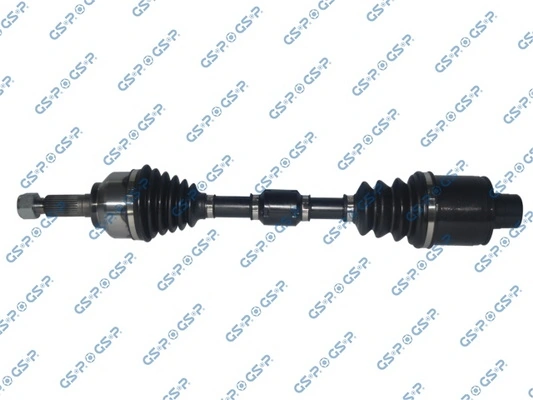 234195 GSP
