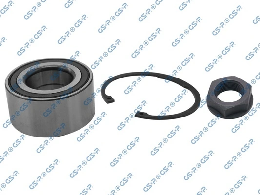 GKX0001 GSP