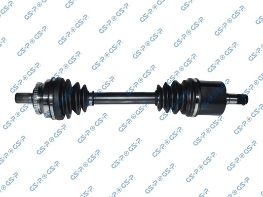 262039 GSP