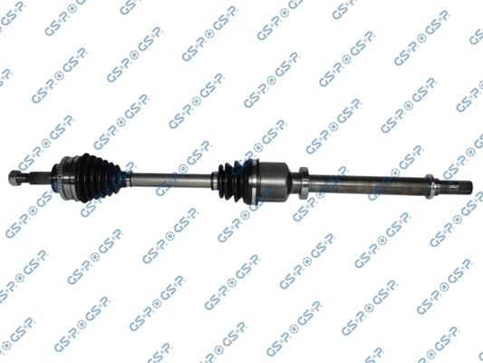 250364 GSP