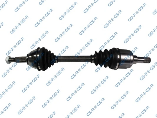 218041 GSP