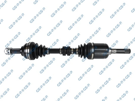 241521 GSP