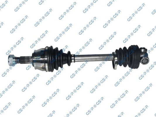217066 GSP