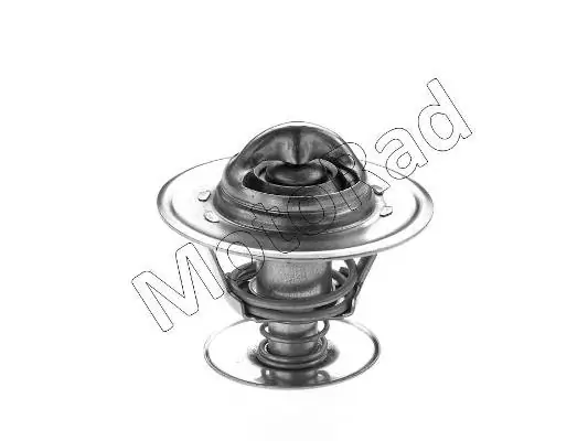 Termostat Volkswagen Sharan