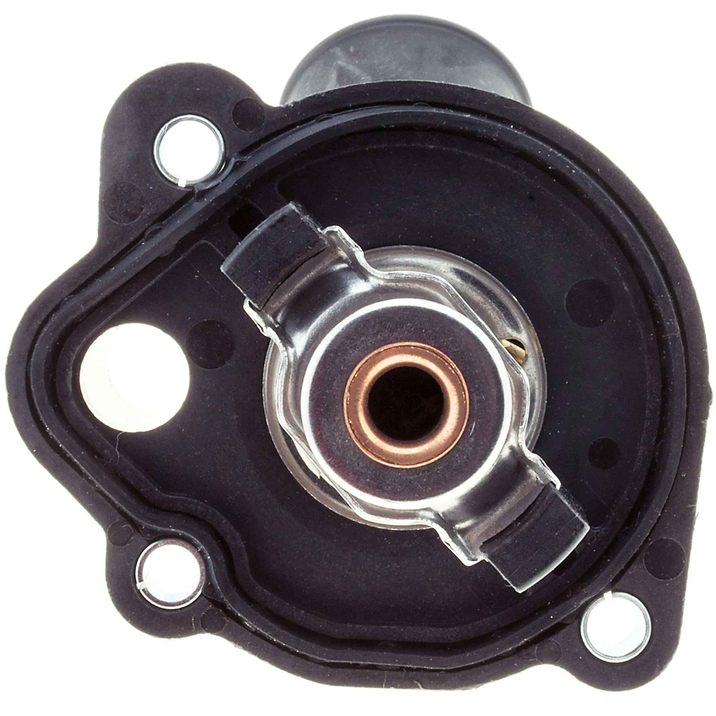  Motorad 51282K