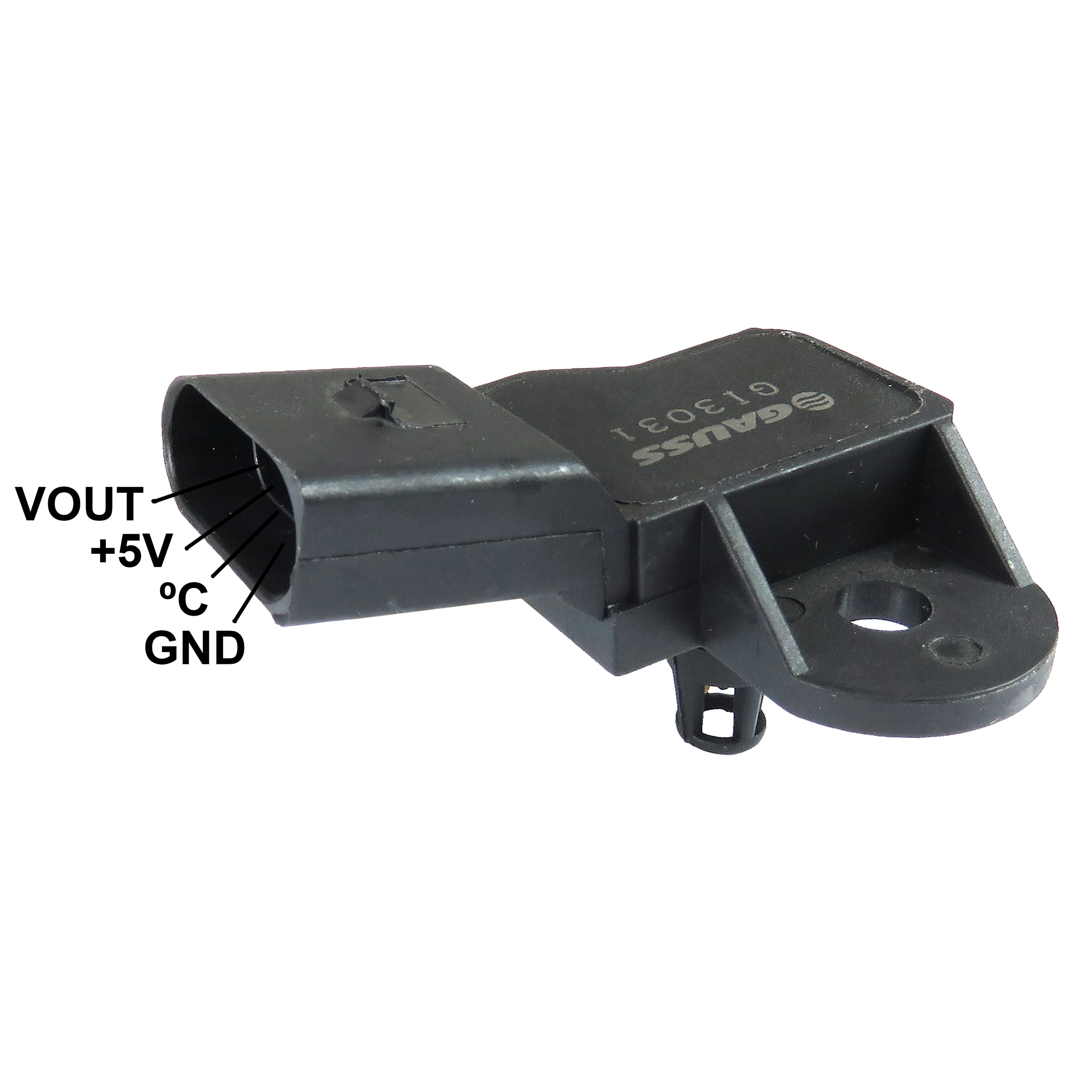 GI3031 Gauss
