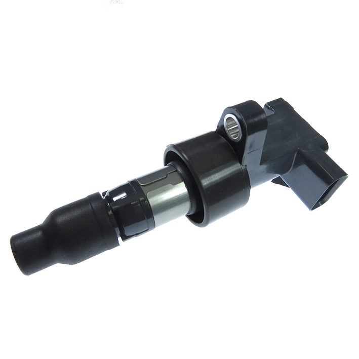 GC4466 Gauss
