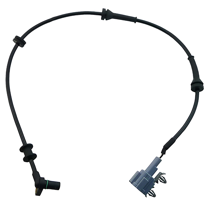 GS2446 Gauss
