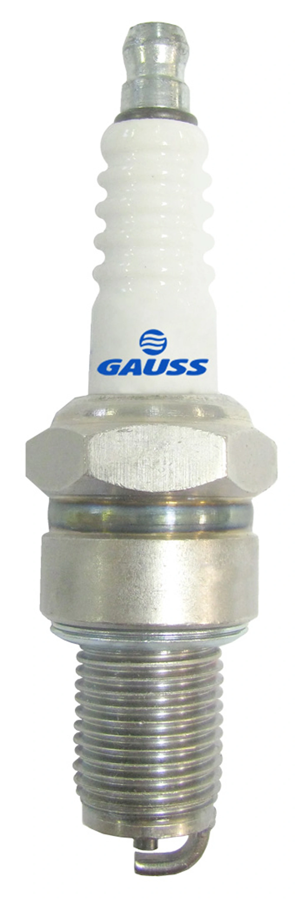 GV6P83 Gauss
