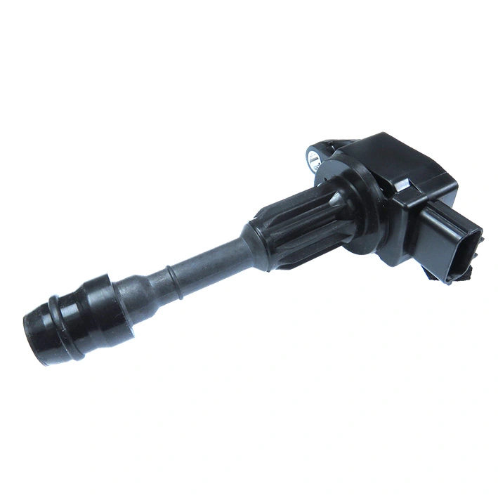 GC4161 Gauss
