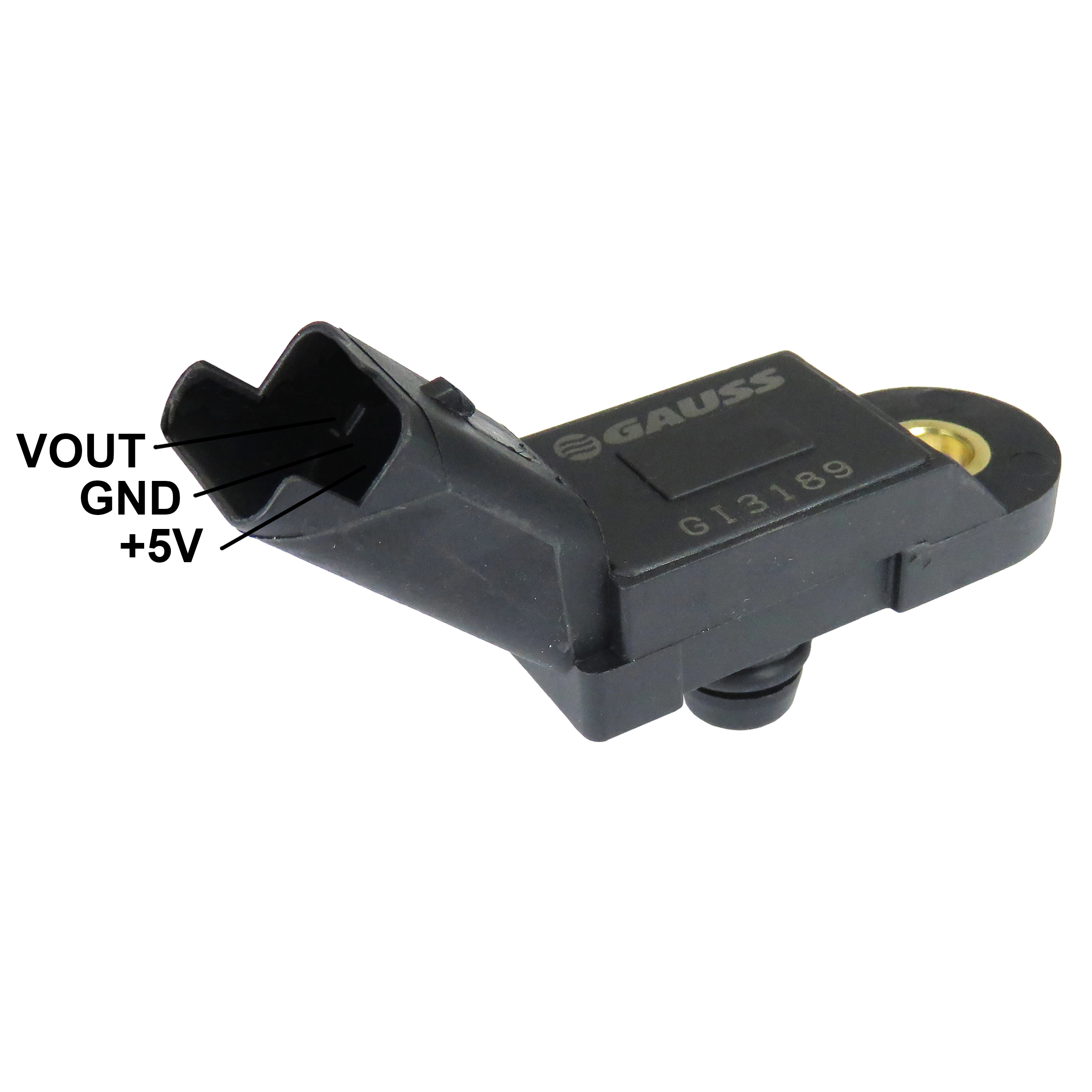 GI3189 Gauss
