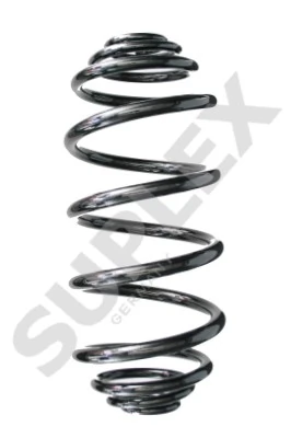 Sprężyna tylna Renault Kangoo II awangarda (FW0) (2008 - 2021) cena, od 59,41 USD
