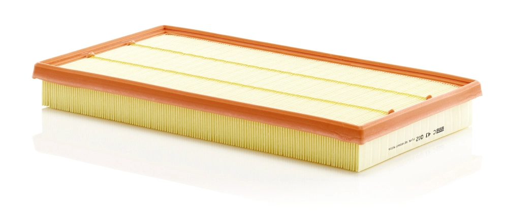 C43002 Mann-Filter