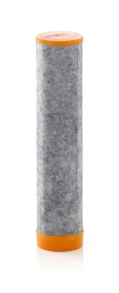 CF7001 Mann-Filter Filtr pompy powietrza wtórnego