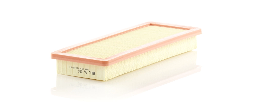 C36002 Mann-Filter