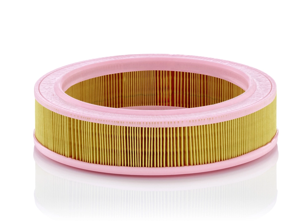  Filtr powietrza Renault 19 2