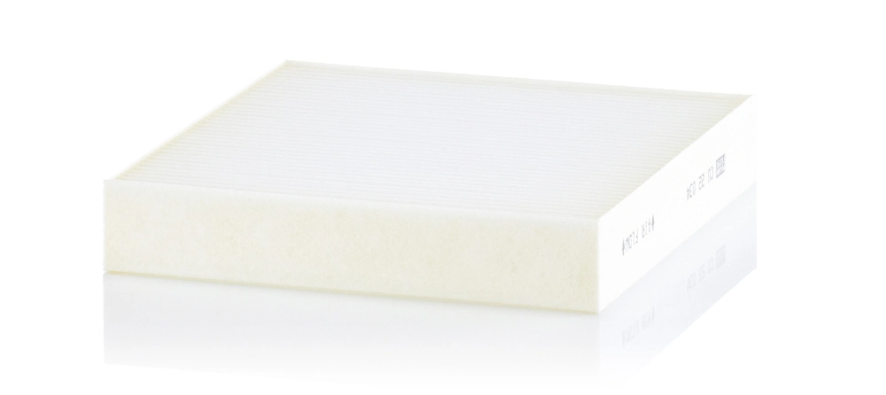 Filtr kabiny Renault (RVI) 272889739R