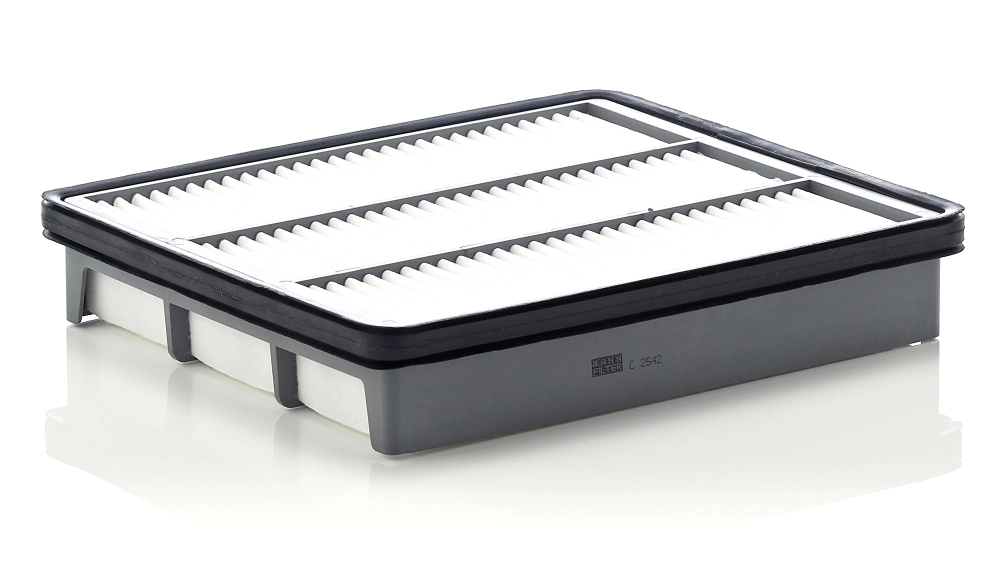 C2542 Mann-Filter