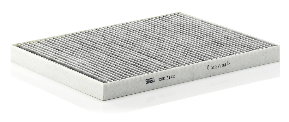 Do koszyka Filtr kabiny Chrysler Voyager III RG, RS