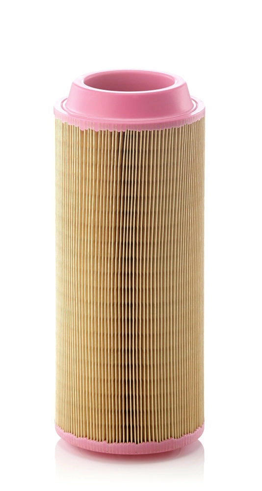 C15300 Mann-Filter
