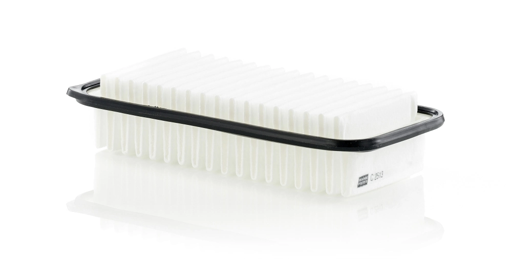C2513 Mann-Filter