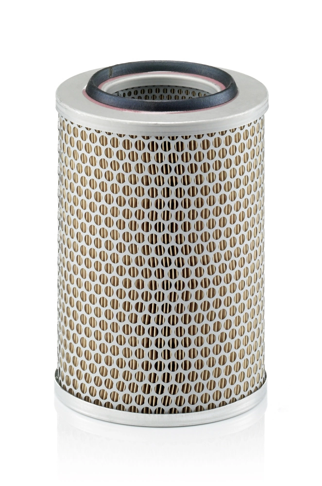 C17201 Mann-Filter