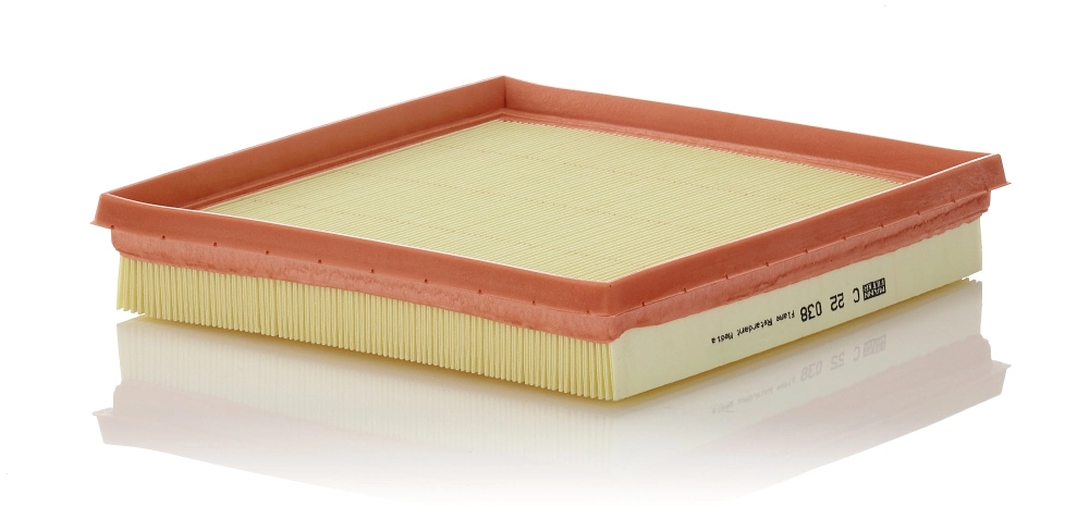 C22038 Mann-Filter
