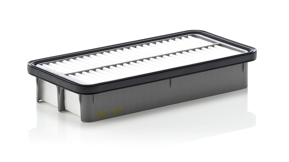 C2519 Mann-Filter
