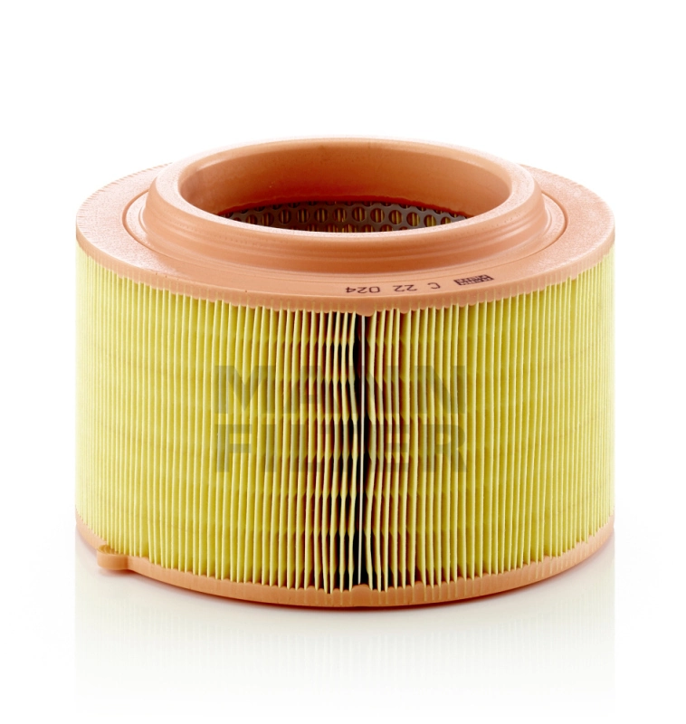 C22024 Mann-Filter