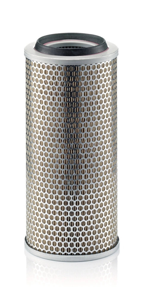 C172253 Mann-Filter