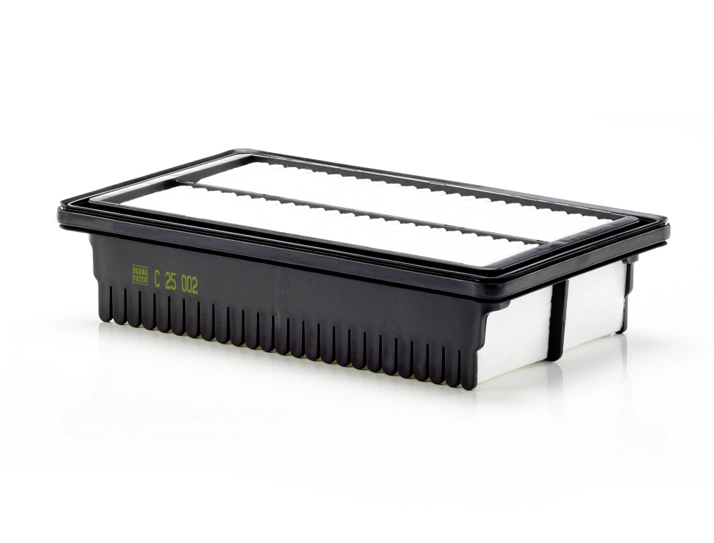 C25002 Mann-Filter