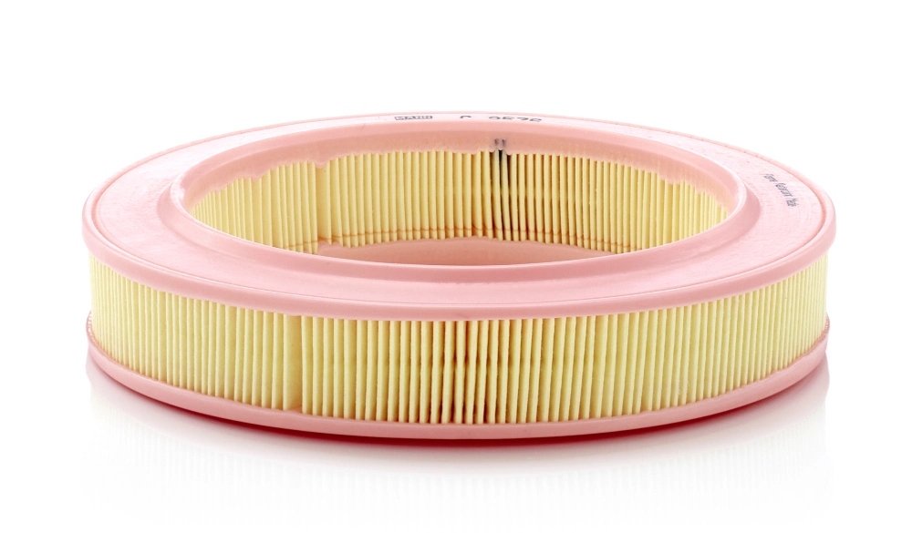 Filtr powietrza Seat Ibiza I hatchback (021A) (1984 - 1993) cena, od 7,32 USD