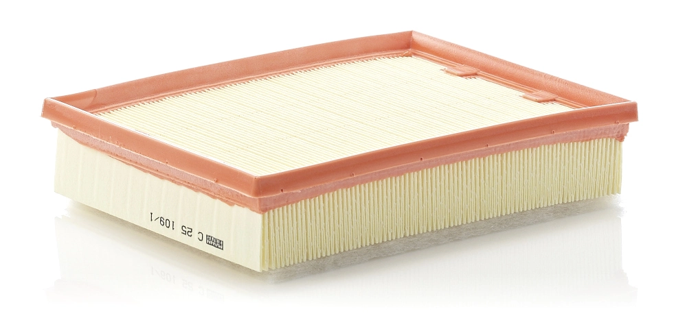 C251091 Mann-Filter