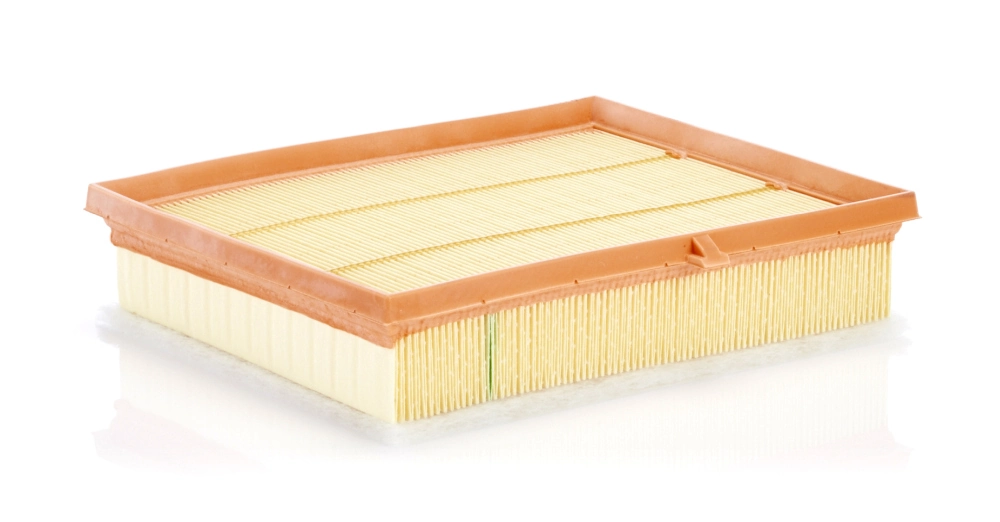 C26010 Mann-Filter