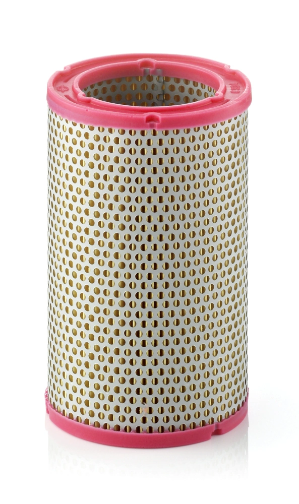 C1134 Mann-Filter