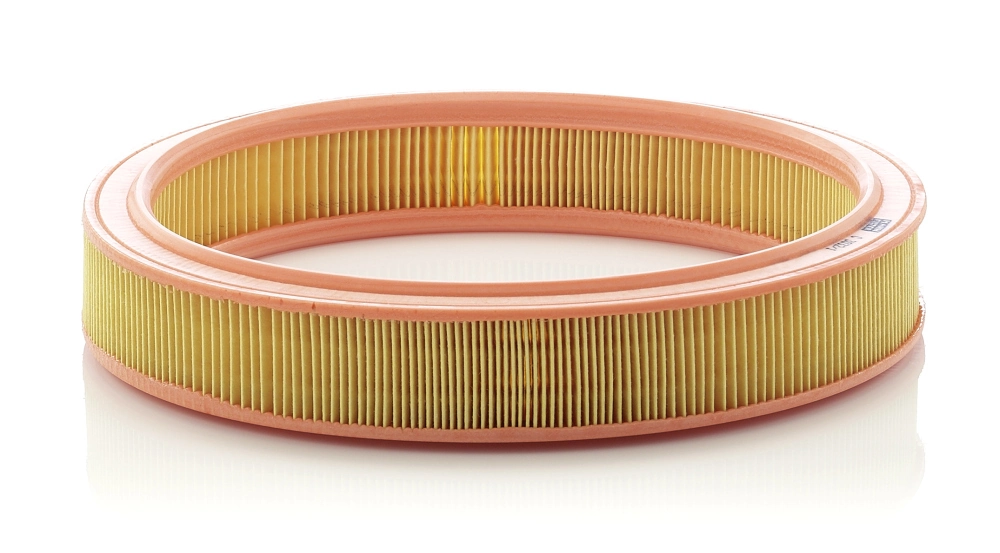  Filtr powietrza Ford Fiesta 