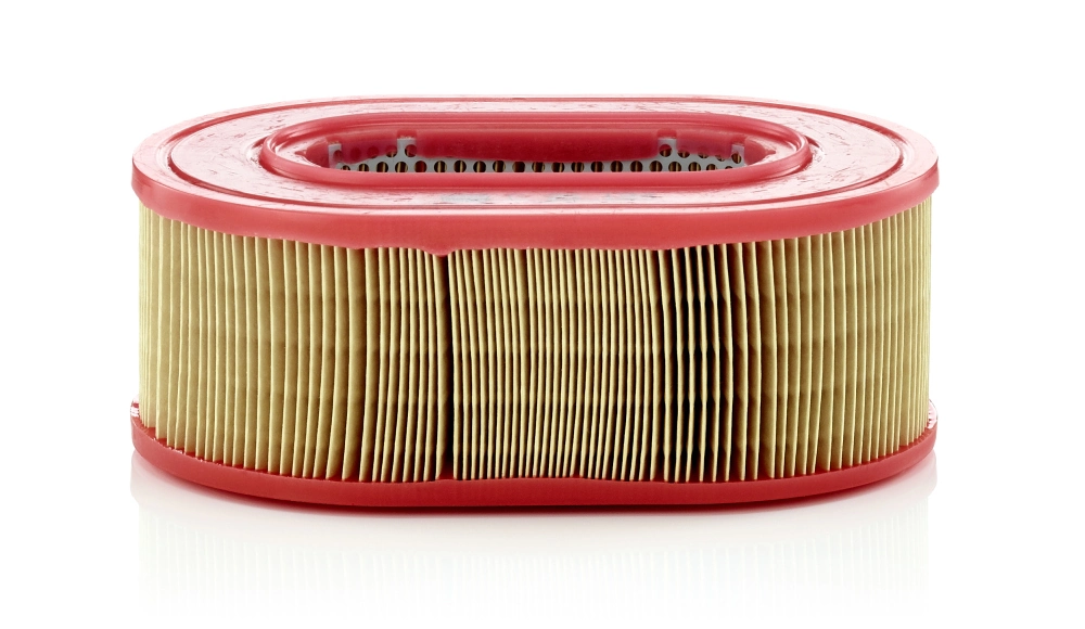 C25124 Mann-Filter