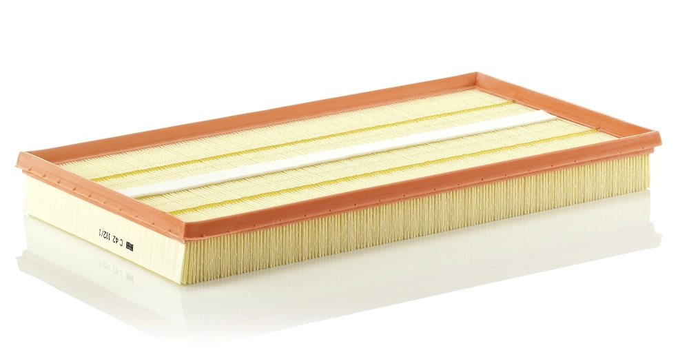 C421921 Mann-Filter