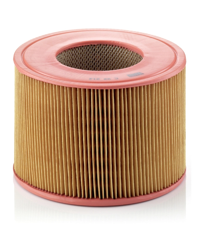 C22212 Mann-Filter