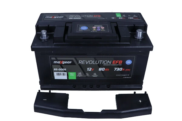 244100001R Renault (RVI) Bateria (akumulator)